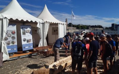 Fêtes maritimes internationales de Brest