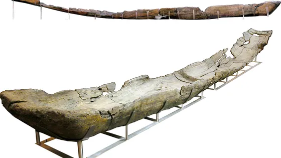 PODCAST – France Culture : Des pirogues néolithiques confirment la navigation en Méditerranée il y a plus de 7000 ans