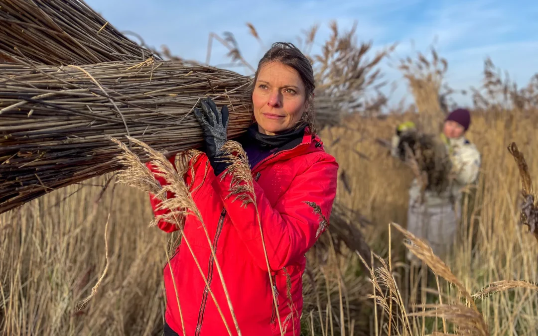 L&rsquo;hiver, le mois de la récolte !